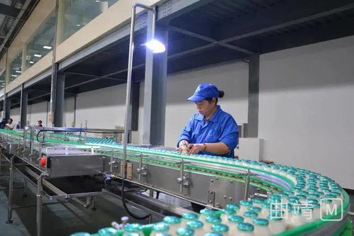 陸良現(xiàn)代化廠區(qū)投資2.8億，企業(yè)管理服務助力試生產階段高效運行