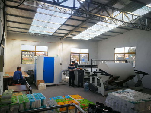農村小型衛(wèi)生紙加工廠投資規(guī)劃與企業(yè)服務指南