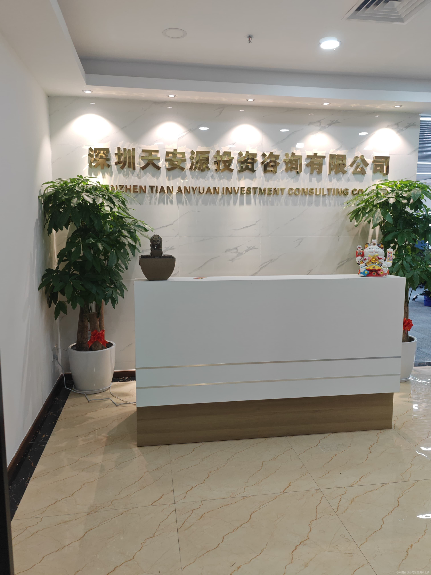 深圳天安源投資咨詢 專業(yè)引領，賦能企業(yè)投資決策